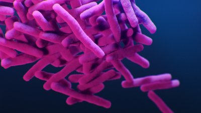 世卫更新对人类健康威胁最大耐药细菌名单